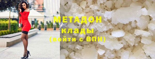 прущие грибы Абаза