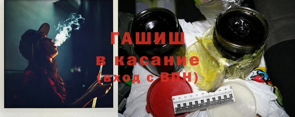 прущие грибы Абаза