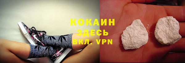прущие грибы Абаза