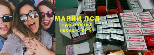 прущие грибы Абаза