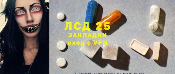 прущие грибы Абаза